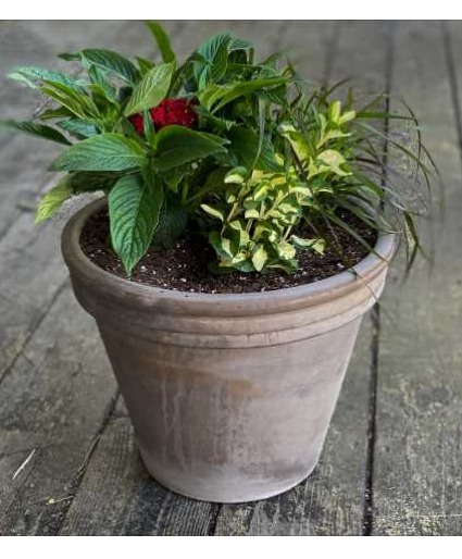 Spring Planter 