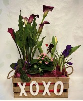 Spring Planter 