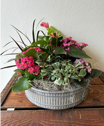 Premium Dish Garden  in La Grande, OR | FITZGERALD FLOWERS