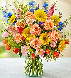 Sunny Sensation,You Make Me Feel the Sunshine! Abundant Vibrantly Colored Blooms