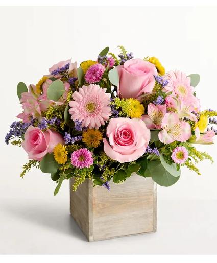 Spring Sentiment 191310 