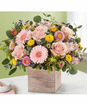 Spring sentiment  