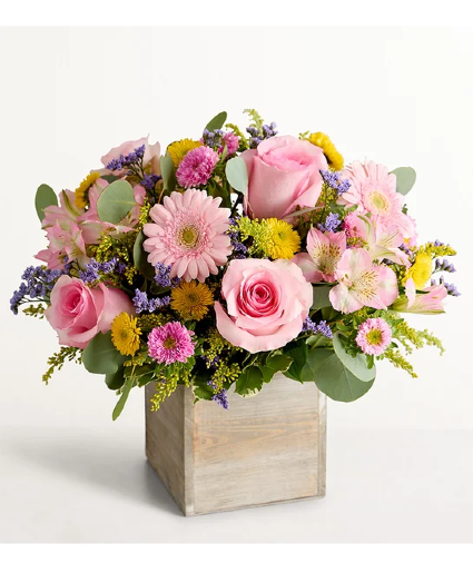 Spring Sentiment 