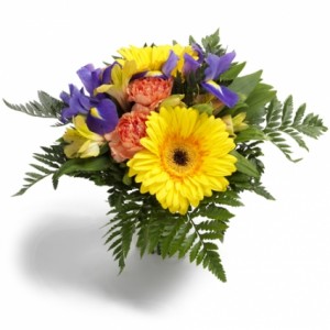 Spring Surprise Cut Flower Bouquet