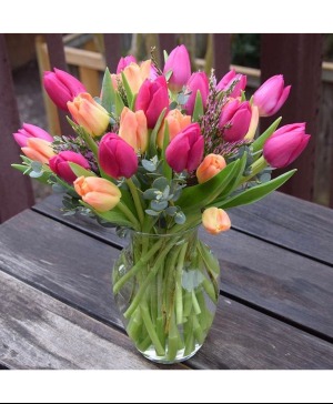 Spring Time Tulips 