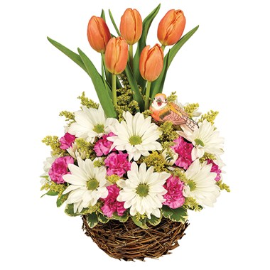 Spring Tulip Garden Floral Arrangement