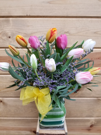 Spring Tulips 