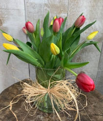 Spring Tulips in vase  Spring Tulips in glass vase 