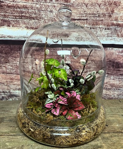Spring Under Glass 