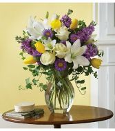 Spring Waltz BB141-1A 