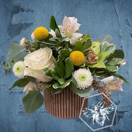 Spring Warmth Designers Choice