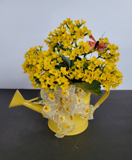 Spring watering can plant
