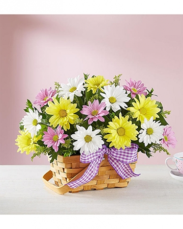Spring Wishes Every Day