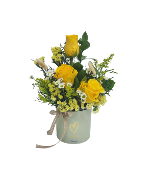 Spring  Yellow and white white flowers 