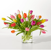 Spring's Calling Tulip Bouquet 
