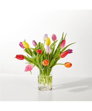 Spring's Calling Tulip Bouquet  in Winnipeg, MB | MYRA ROSE FLORIST