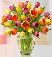 SPRINGTIME BLOOMS Vase Arrangement