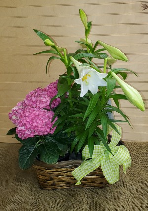 Springtime Elegance WOODBURY'S ORIGINAL