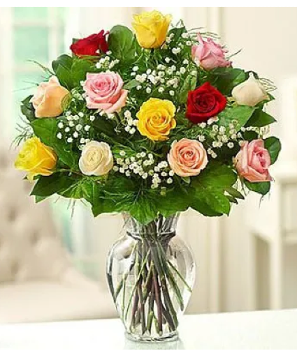 Springtime roses 
