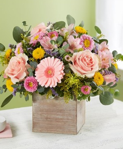Springtime Sentiment 