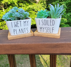  Square Succulent Planter 