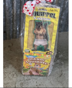 Squirrel Bundle Toys