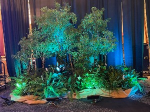 Stage Decor 