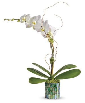 Stained Glass Orchid 