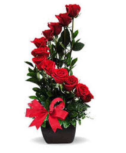 Stair case of Red Roses  Roses 