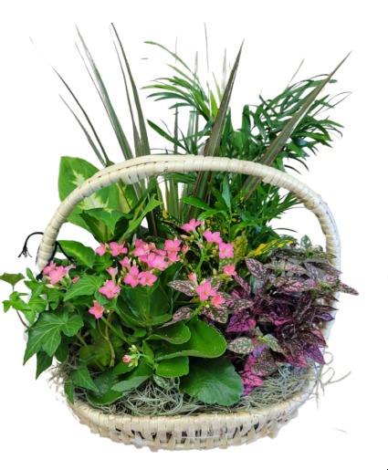Standard Country Garden Planter Mixed planter