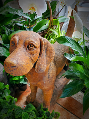 Standing Beagle Massarelli Fine Stone