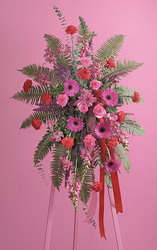 STANDING SPRAY PINK 