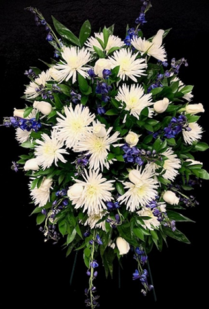 Stars in the Sky White Spiders designed with blue Delphiniums