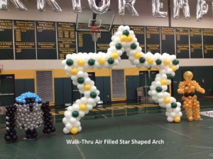 Star Shaped Arch 