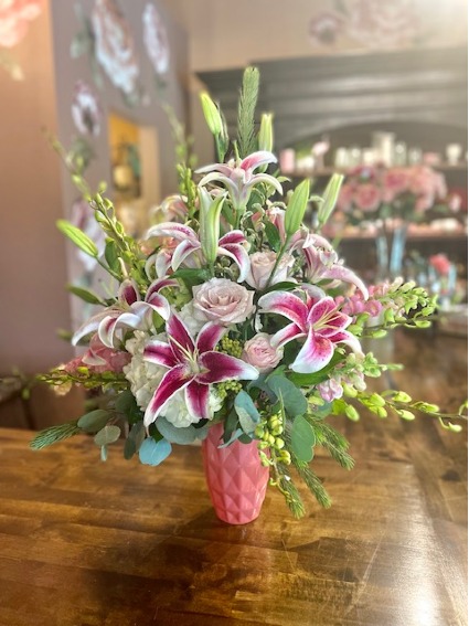 Stargazer Delight 