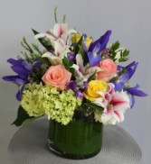 Stargazer Iris Cylinder Arrangement
