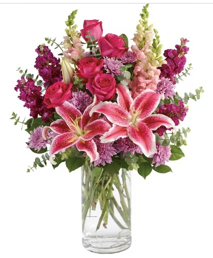 Stargazer Kiss 