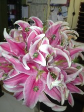 Stargazer Lily Bokay Handhelds