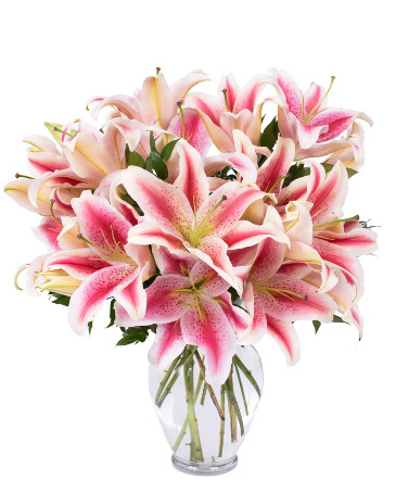 Stargazer Love  in Spring, TX | Spring Trails Florist