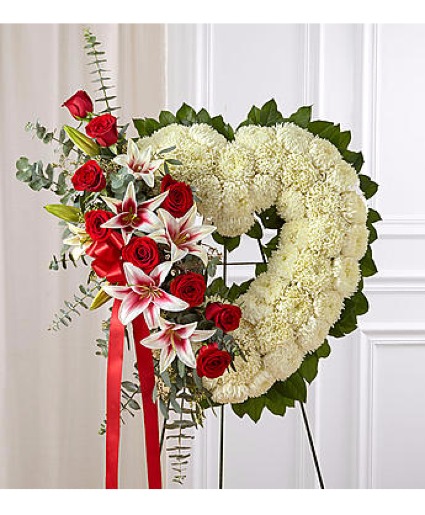 Stargazer Open Heart  