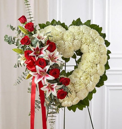 Stargazer Tribute 