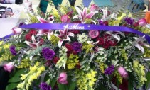 Stargazer/ yellow and purple Casketpiece
