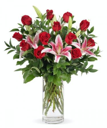 Stargazers and Roses  