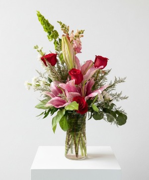 Stargazers and Roses Classic Collection