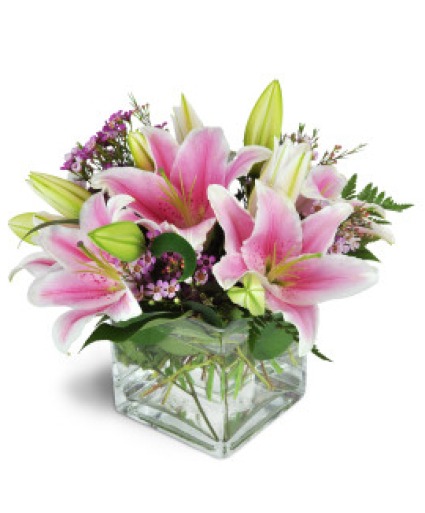 Stargazing Beauty Arrangement  