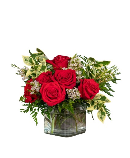 Starlet Arrangement