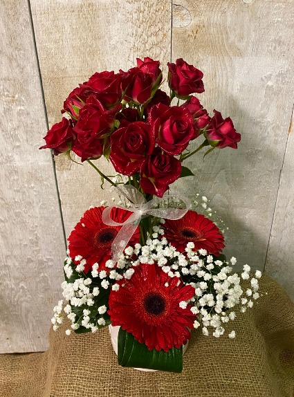 Starry Eyed Lovers arrangement in white ceramic stars pot