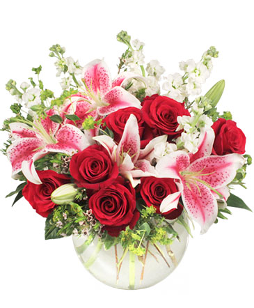 STARTS IN THE HEART Flower Arrangement in Frisco, TX | PATTI ANN'S FLOWERS