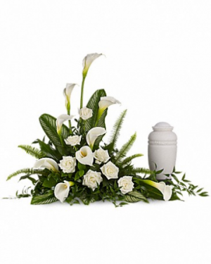Stately Lilies T217-1 