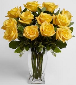 Stellar Yellow roses 